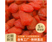 诺诺多滋 草莓干果脯500g烘焙用蜜饯水果干休闲零食非冻干一斤装